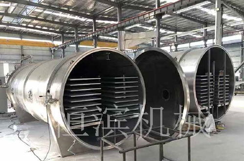 解鎖天然美味與營(yíng)養(yǎng) 低溫冷凍干燥機(jī)在果蔬休閑食品領(lǐng)域的革命